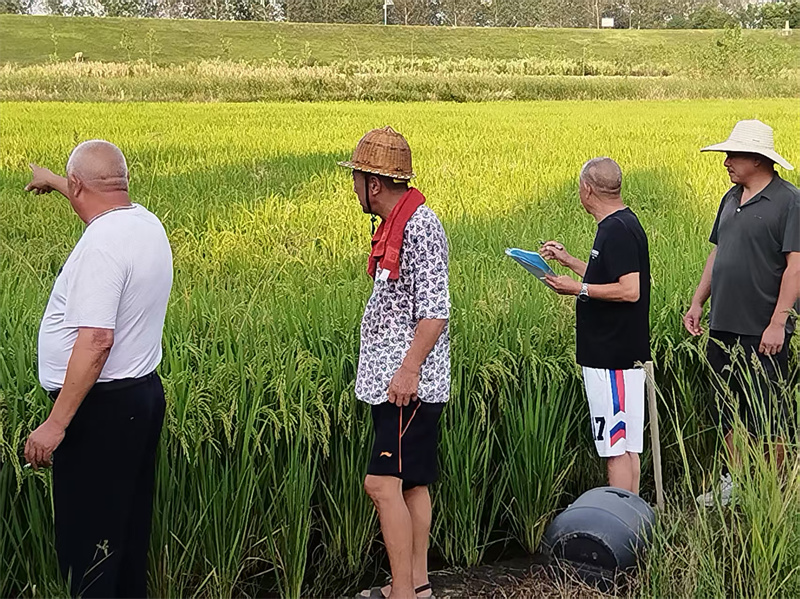 調(diào)解員在現(xiàn)場(chǎng)勘測(cè)面積