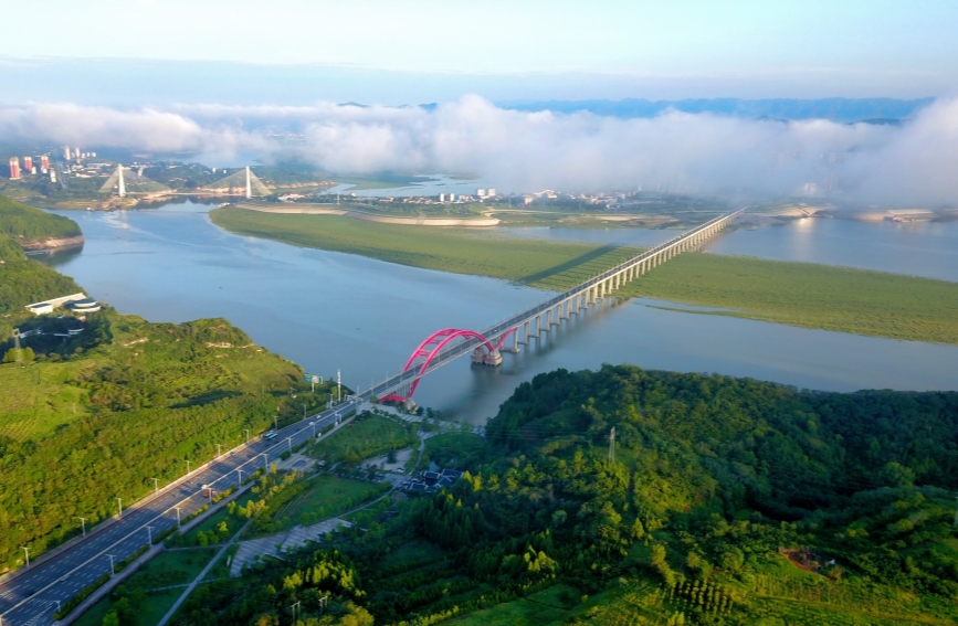 2025年8月17日拍攝的南水北調(diào)丹江口庫區(qū)鄖陽段漢江水域，江中還裸露著草灘。