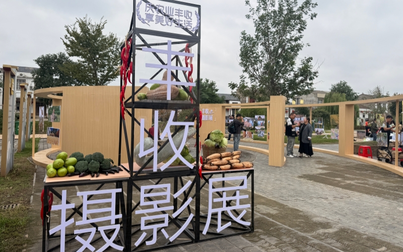 豐收攝影展。張雋攝