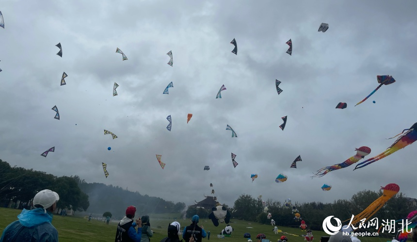 各式各樣的風(fēng)箏翩然起舞。人民網(wǎng)記者 周倩文攝