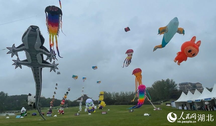 各式各樣的風(fēng)箏翩然起舞。人民網(wǎng)記者 周倩文攝