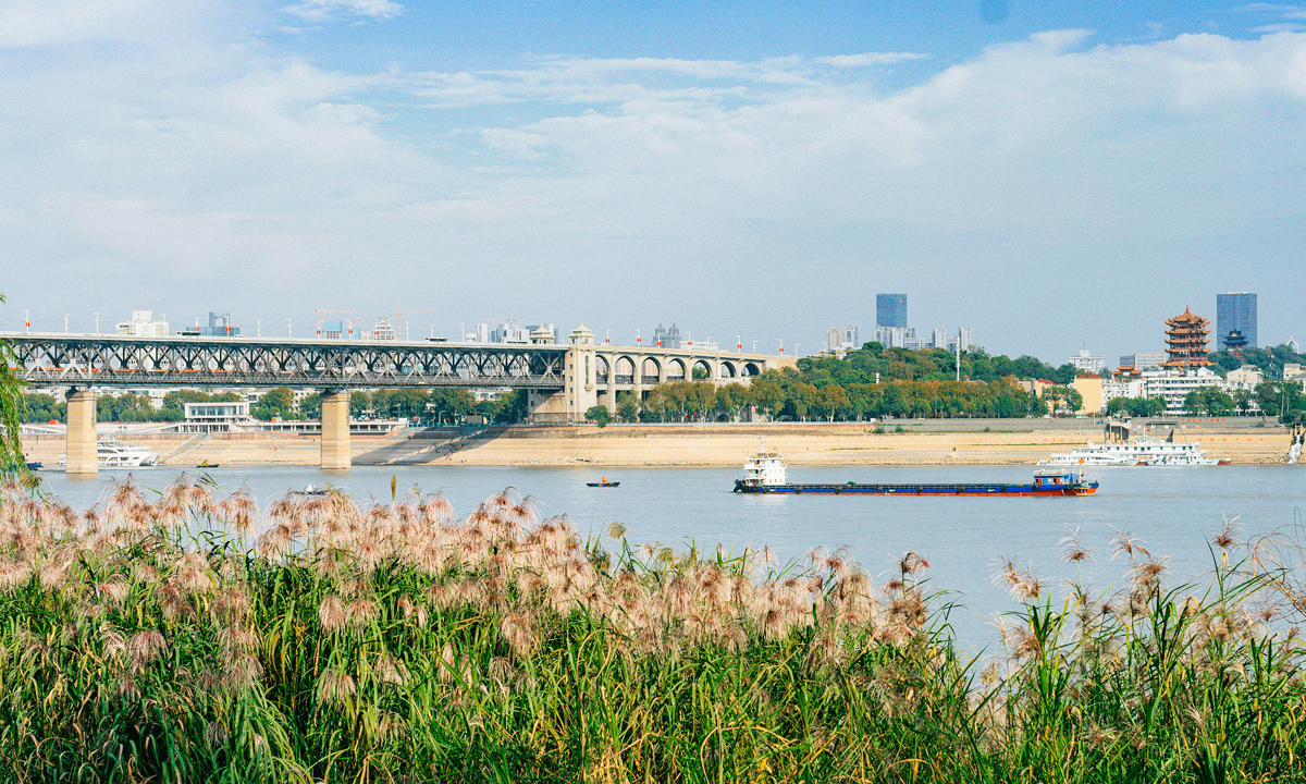 《時(shí)光的岸-春風(fēng)絮語》繞茜 攝