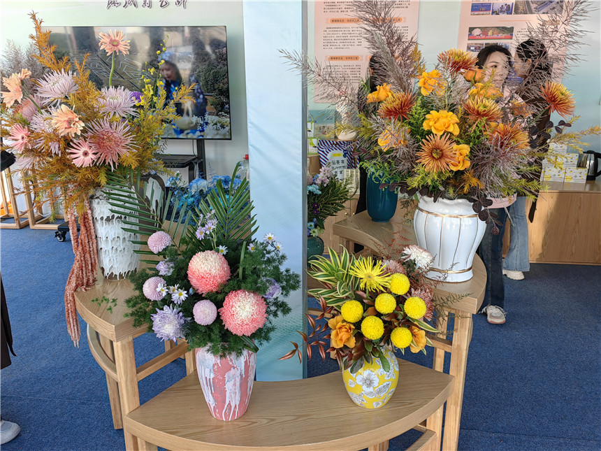 湖北麻城福白菊品牌價(jià)值突破72億元【3】