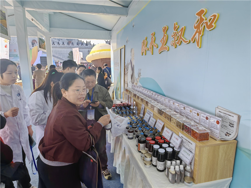 湖北麻城福白菊品牌價(jià)值突破72億元【7】