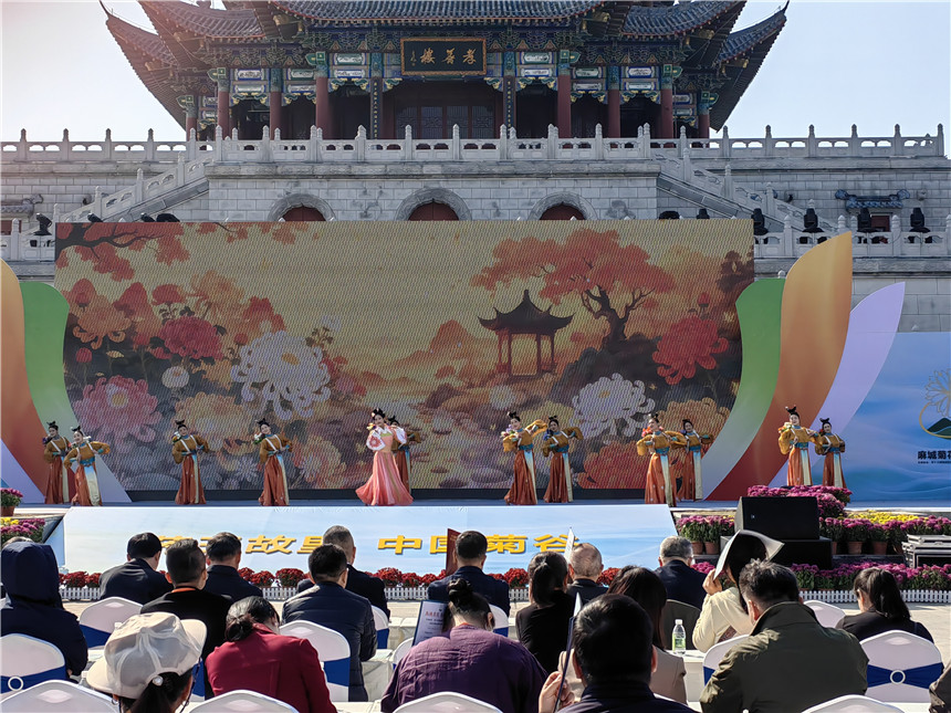 湖北麻城福白菊品牌價(jià)值突破72億元【8】