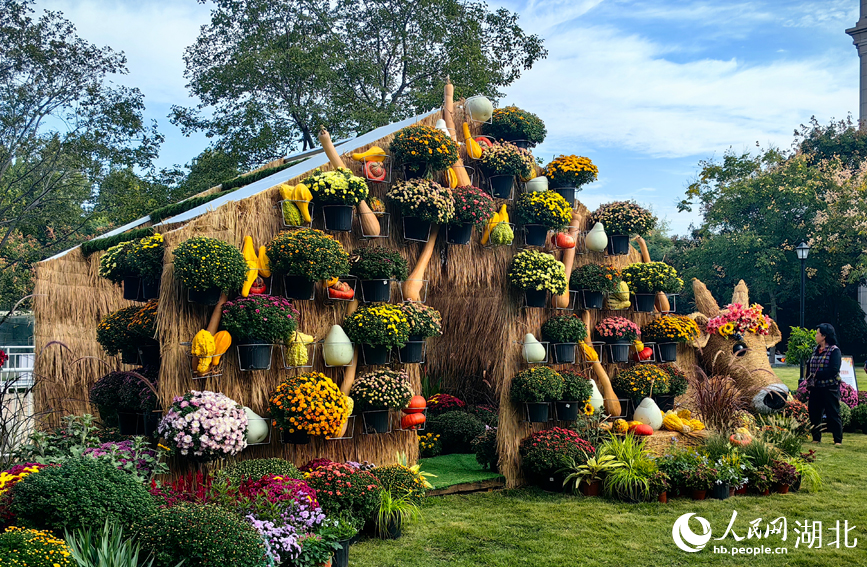 江城秋色入畫來 武漢市第42屆金秋菊展啟幕【2】