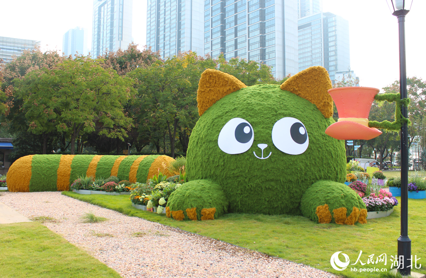 江城秋色入畫(huà)來(lái) 武漢市第42屆金秋菊展啟幕【4】