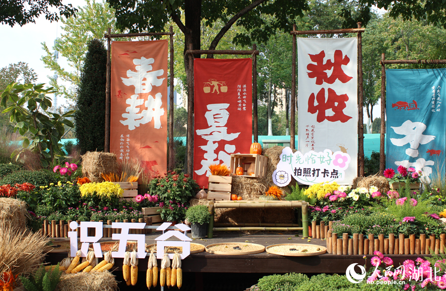 江城秋色入畫(huà)來(lái) 武漢市第42屆金秋菊展啟幕【10】