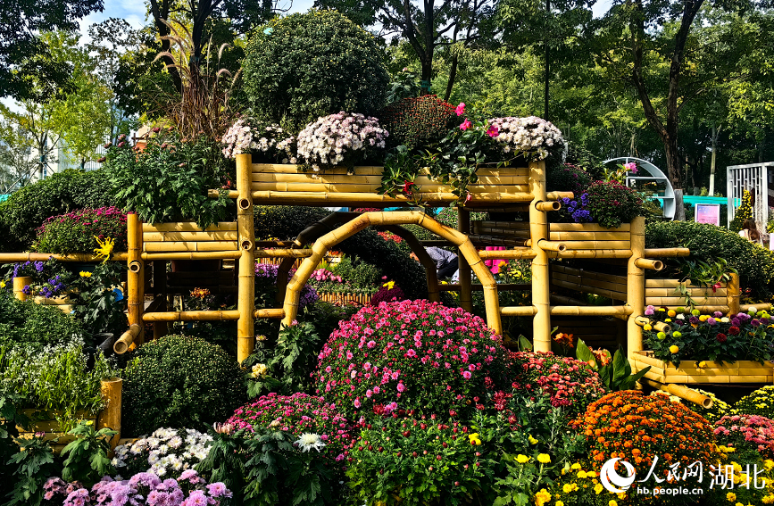 江城秋色入畫來 武漢市第42屆金秋菊展啟幕【12】