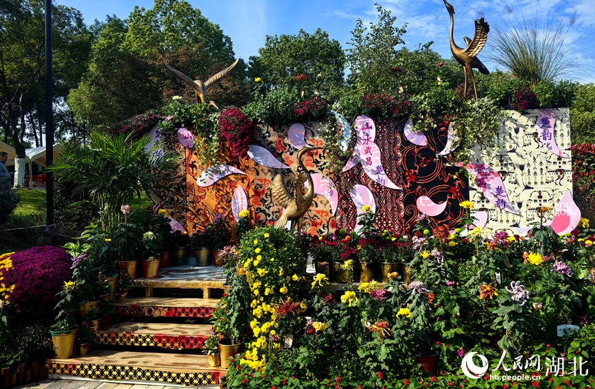 江城秋色入畫來 武漢市第42屆金秋菊展啟幕【13】