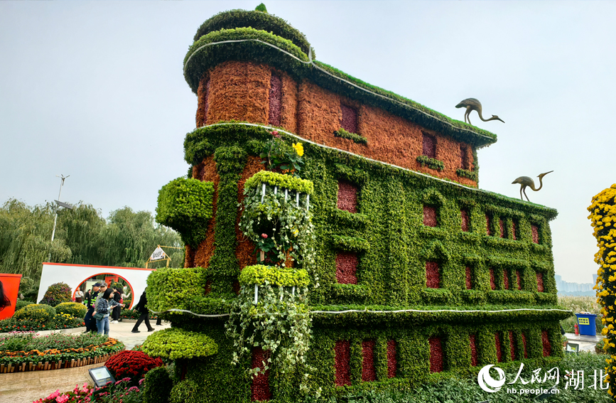 江城秋色入畫來(lái) 武漢市第42屆金秋菊展啟幕【14】