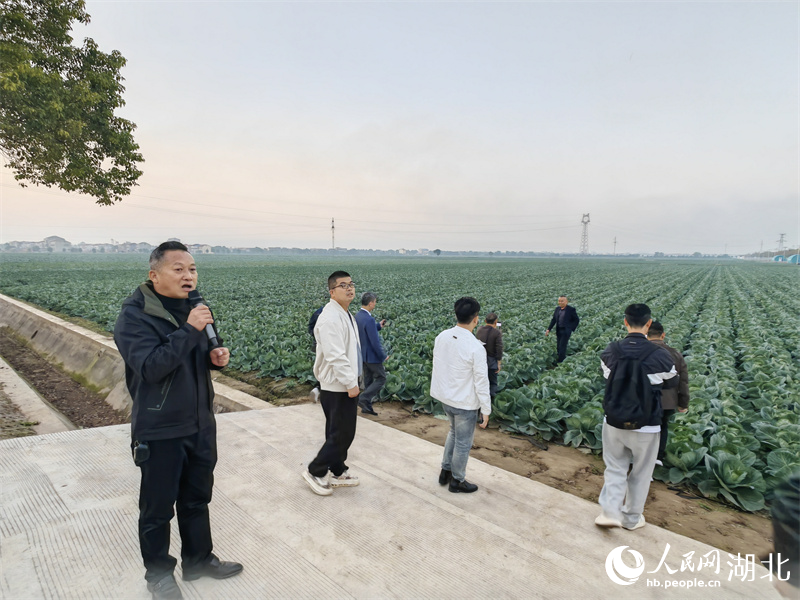 潘家灣鎮(zhèn)農(nóng)技服務(wù)中心技術(shù)人員劉朝輝介紹情況。人民網(wǎng)記者 郭婷婷攝