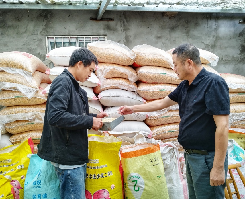 駐村書記查看養(yǎng)殖業(yè)。