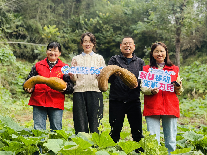 湖北移動志愿者和村民一起在直播間向網(wǎng)友展示新鮮采摘的南瓜