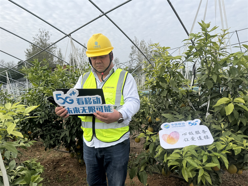 移動技術(shù)人員優(yōu)化果園網(wǎng)絡(luò)
