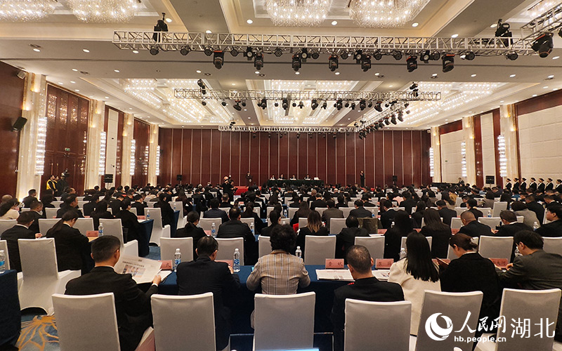 大會現(xiàn)場。人民網(wǎng)記者 王郭驥攝