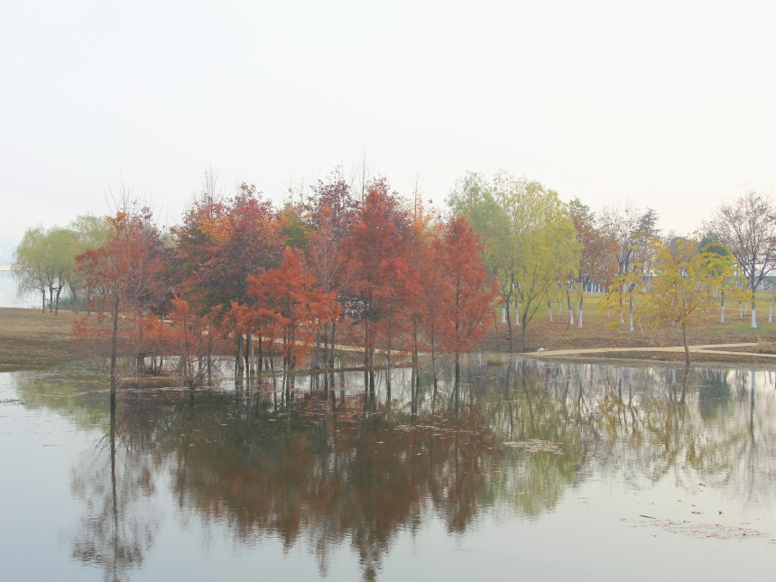 湖北鄖陽:好生態(tài)引眾鳥安家