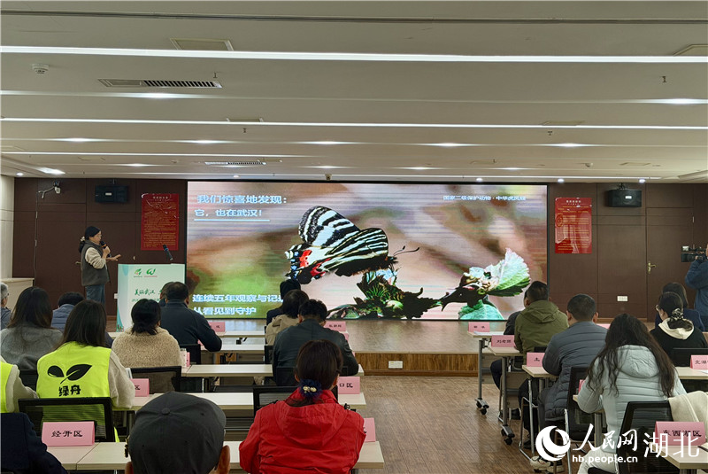 志愿者劉平介紹蝴蝶觀察情況。人民網(wǎng)記者 張沛攝