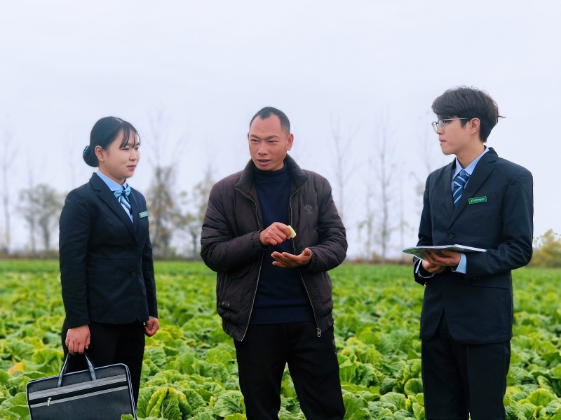 客戶經(jīng)理到田間走訪。