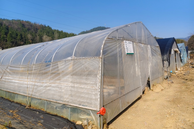 育苗棚外觀