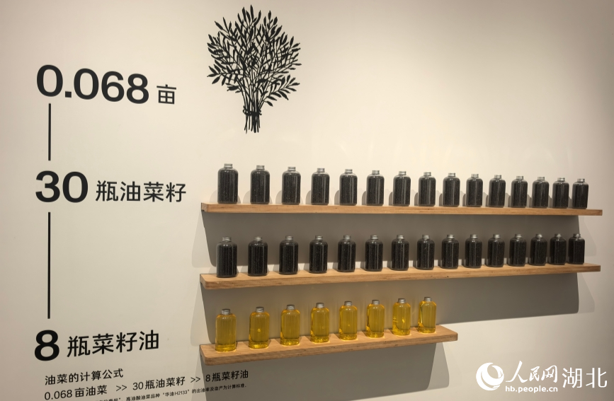 中國沙洋油菜博物館