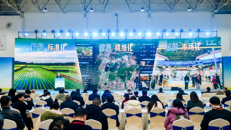 活動(dòng)現(xiàn)場(chǎng)。